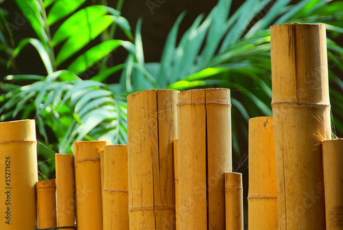 Bambusstange - bamboo cane 03