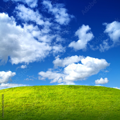 Field of grass and perfect ...