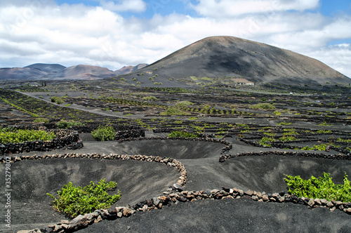 Vineyards in La Geria, Lanzarote, Spain.