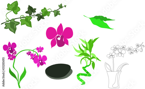 wellness design set