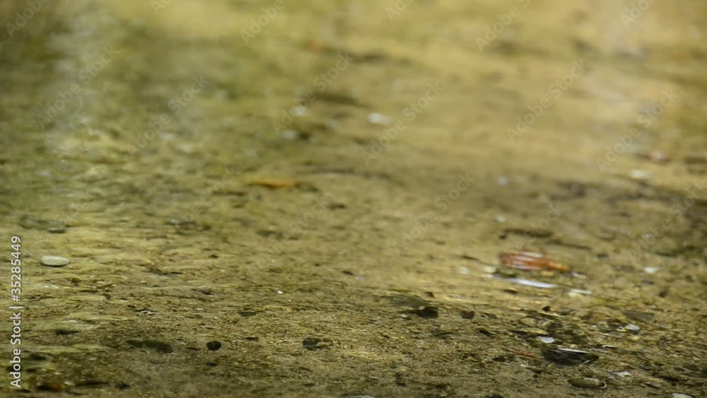 Water running in a small and shallow stream Water running in a small and shallow stream