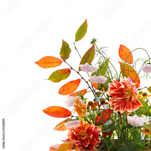 Fototapeta Naklejka Na Ścianę i Meble -  autumn floral composition