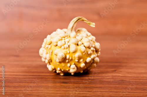 Ripe pumpkin fruits on wooden background photo