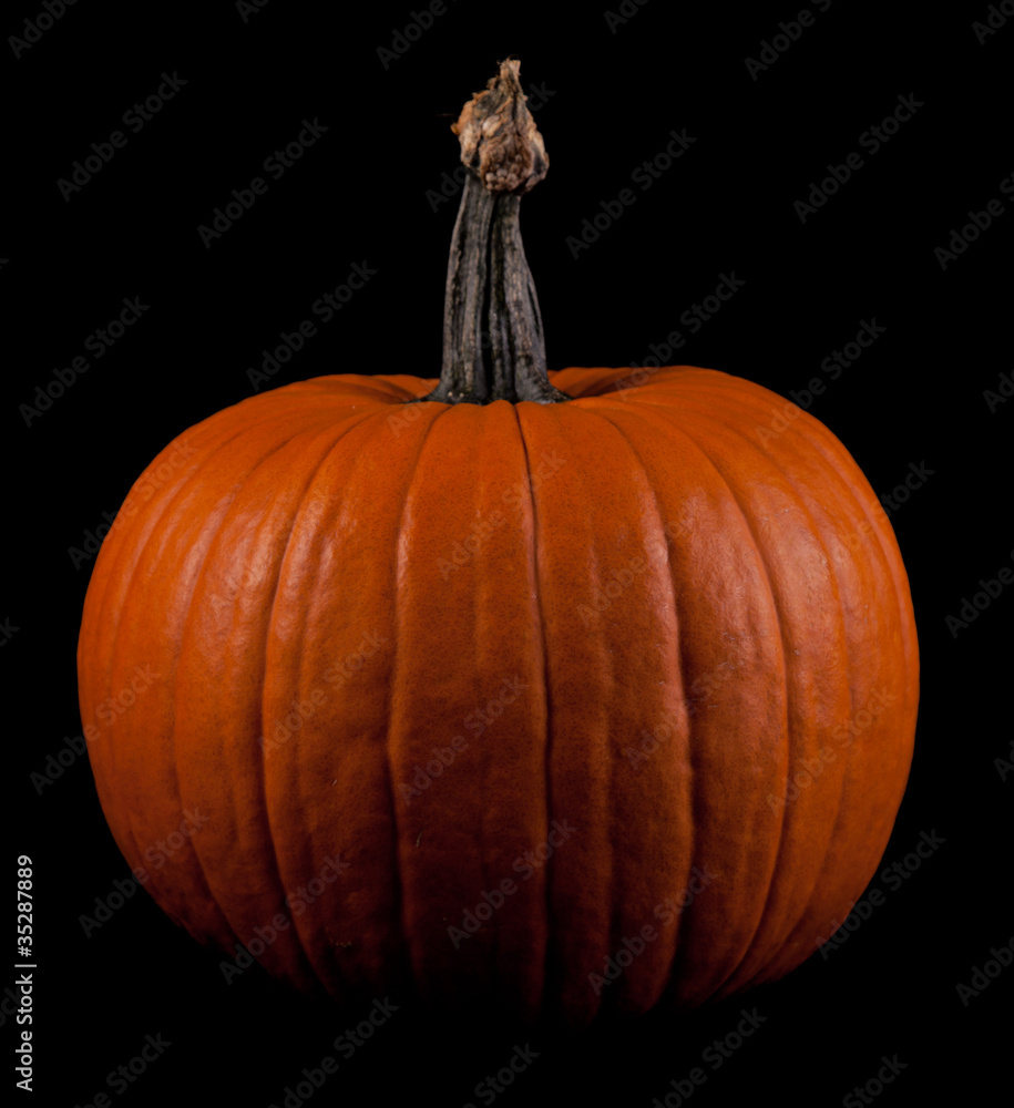 Ripe pumpkin fruits isolated on balck Ripe pumpkin fruits isolated on balck