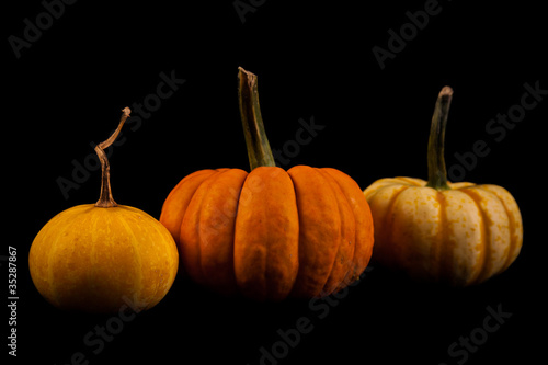 Ripe pumpkin fruits isolated on balck