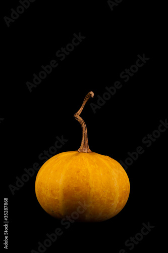 Ripe pumpkin fruits isolated on balck