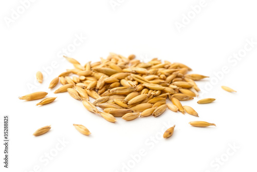heap of oat grains