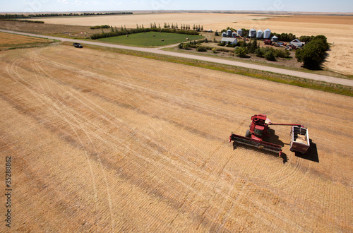 Harvest and Farm photo