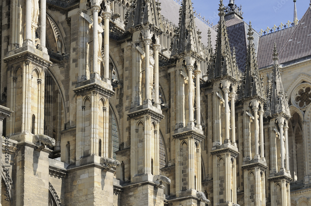 cathedral buttresses, reims