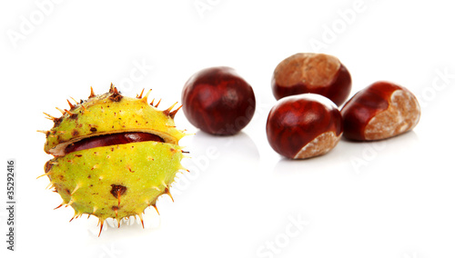 couple of chestnuts over white background