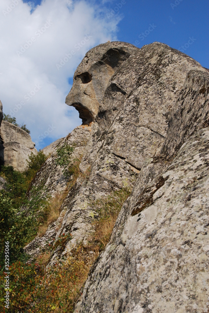 Fototapeta premium Sguardo di roccia