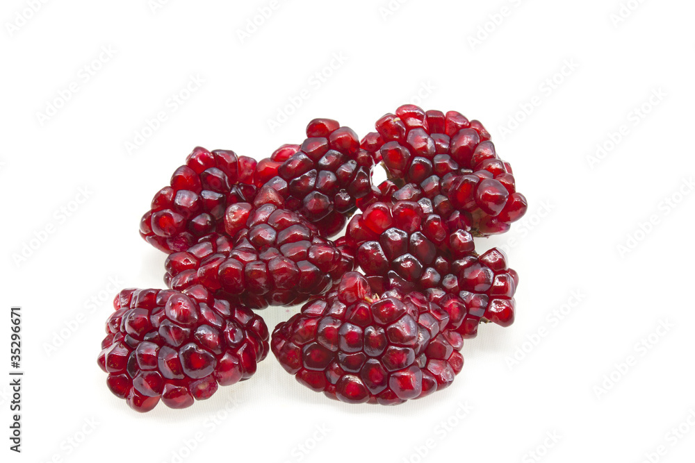 Pomegrante Pomegrante