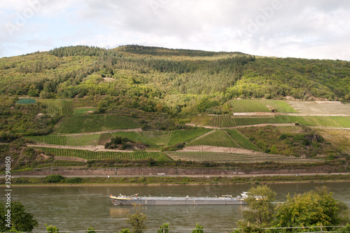 Shadows over Rhine vineyards with passing tanker