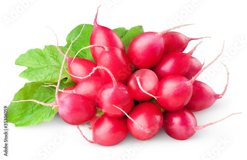 Isolated radishes. Bunch of fresh red radishes with leaves isolated on white background