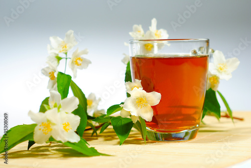 jasmine tea with jasmine flowers