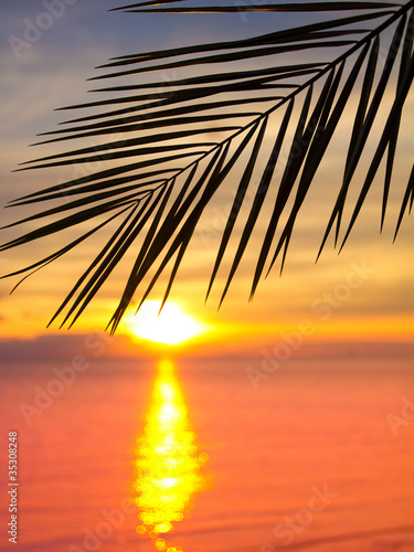 Ocean Sunset Hawaii