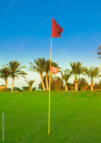 Golf Flag Waving