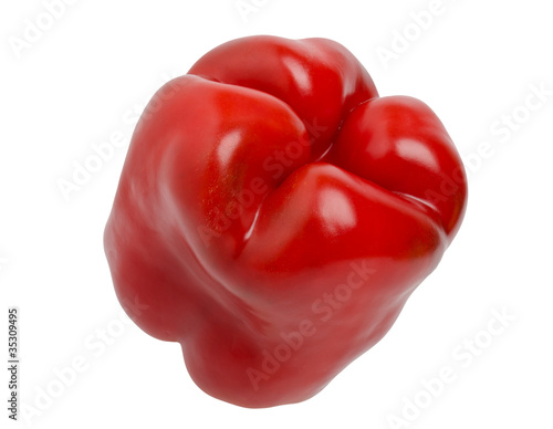 Red Bulgarian pepper © Artur
