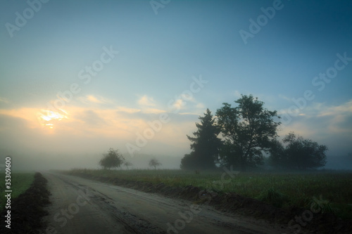 Foggy footpath in morning
