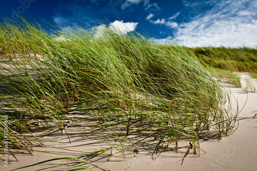 Sand dune with cumulus clou...