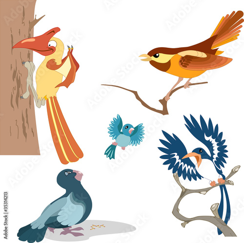 cartoon birds