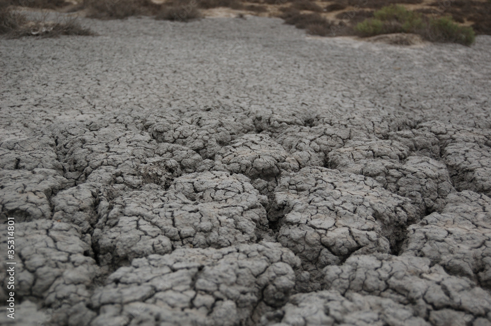 Barren land