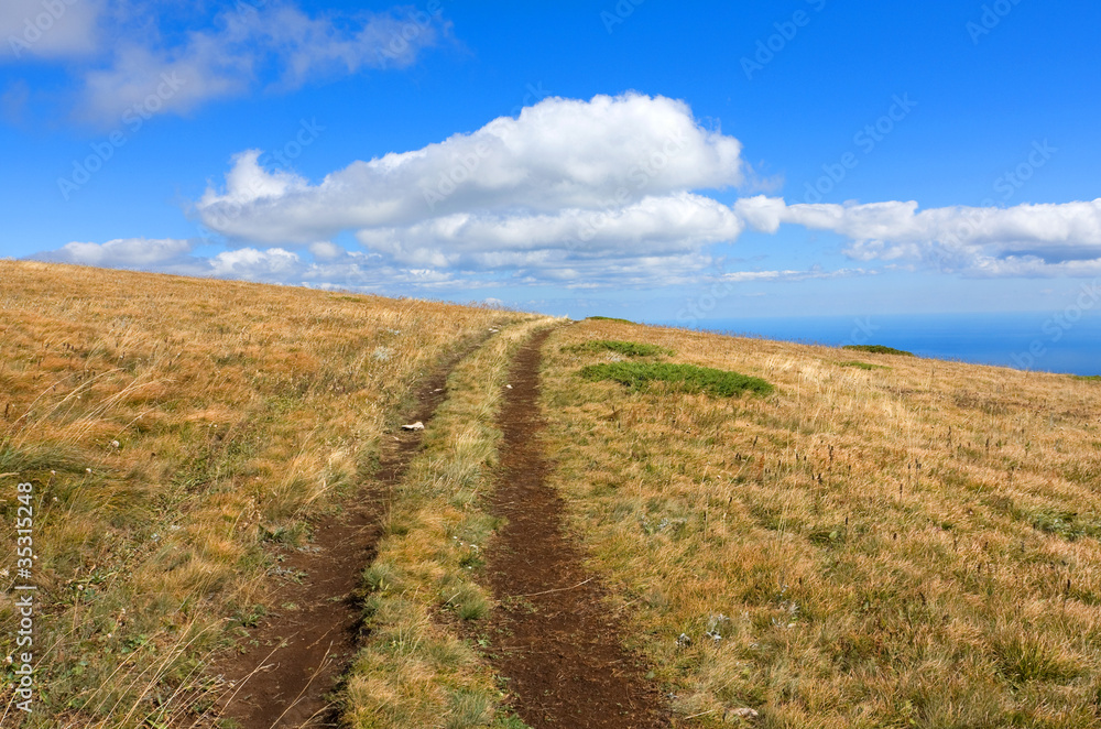 Fototapeta premium path on mountain field