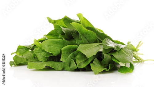 Fresh leaves of a sorrel on a white background