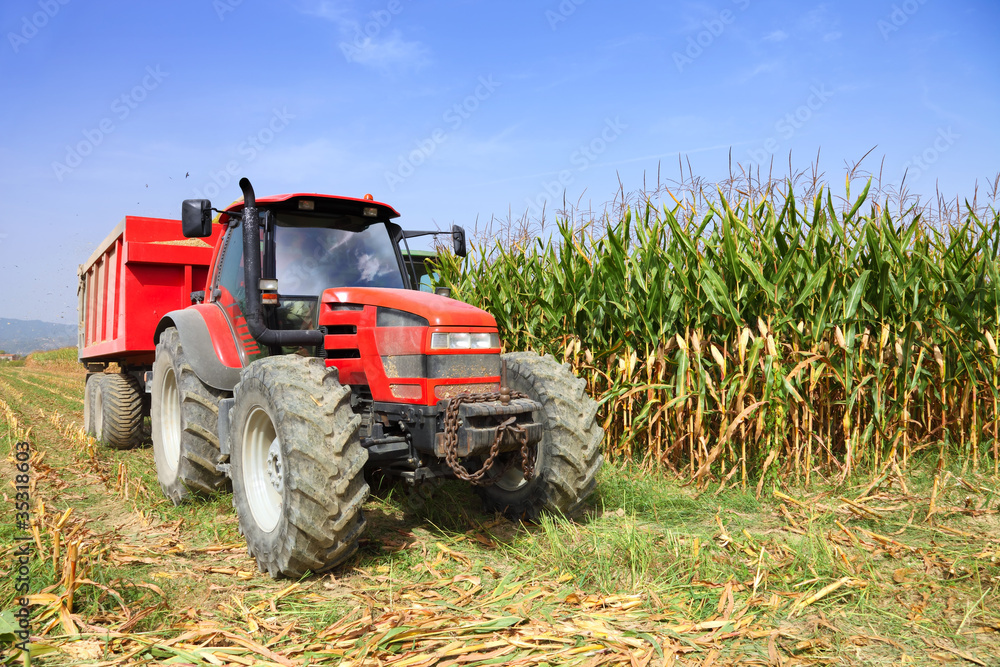 Obraz premium Agriculture, farming tractor