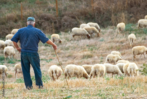 Pastore con gregge