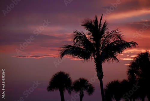 Tropical Sunset