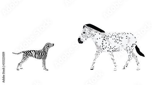 Genetically Modified Animals