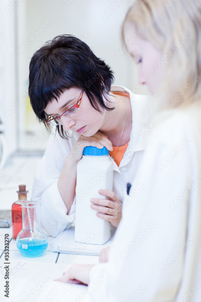 female researchers carrying out research together in a lab female researchers carrying out research together in a lab