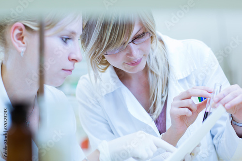 female researchers carrying out research together in a