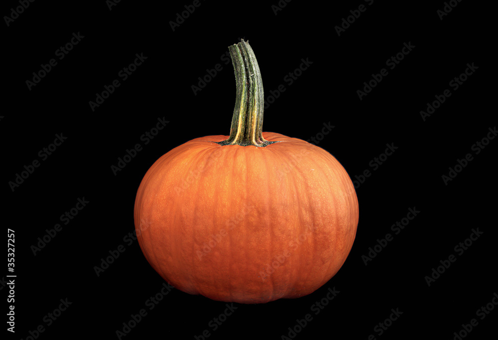 halloween halloween