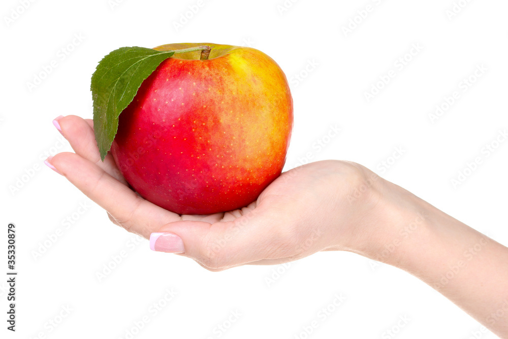 Woman hand holdig ripe organic apple isolated on white Woman hand holdig ripe organic apple isolated on white