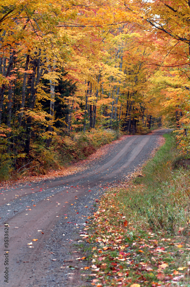 Fototapeta premium One Lane Autumn