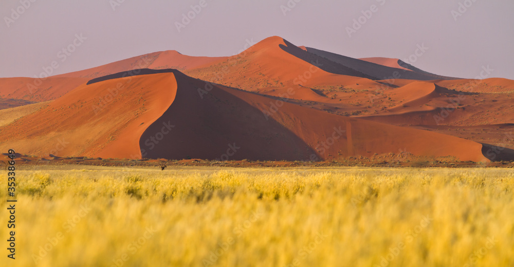 Sanddünen in der Namibwüste, Namibia