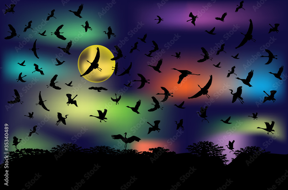 flying birds and trees silhouettes flying birds and trees silhouettes