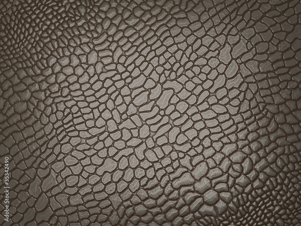 Alligator skin: useful as texture or background Alligator skin: useful as texture or background