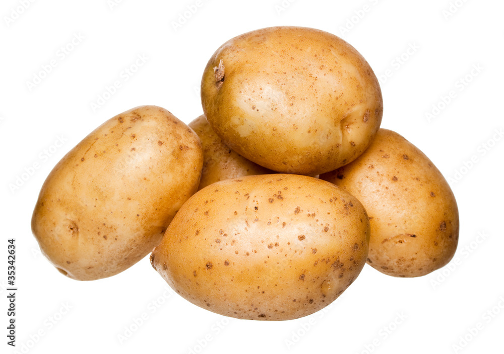 bunch of potatoes on white background bunch of potatoes on white background