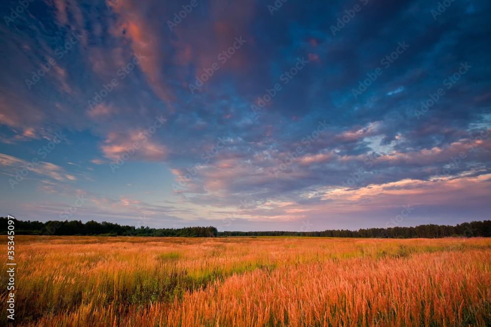 Autumn field at sunset Autumn field at sunset