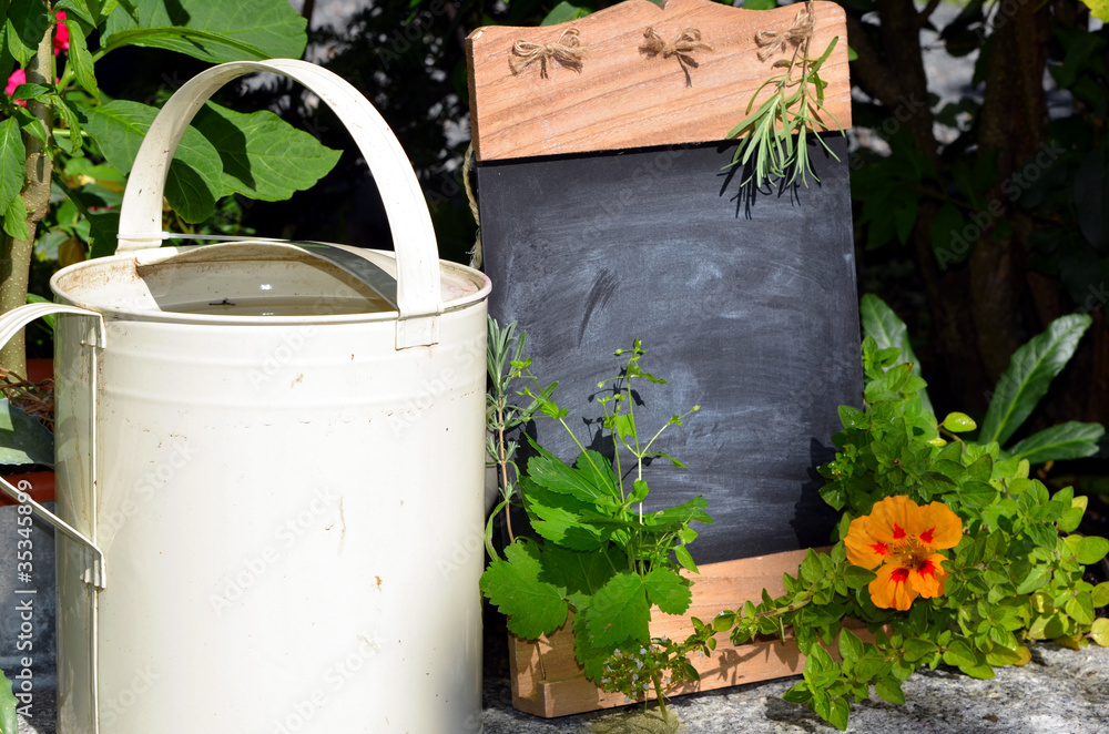 Tafel frische Kräuter Garten Bio Tafel frische Kräuter Garten Bio