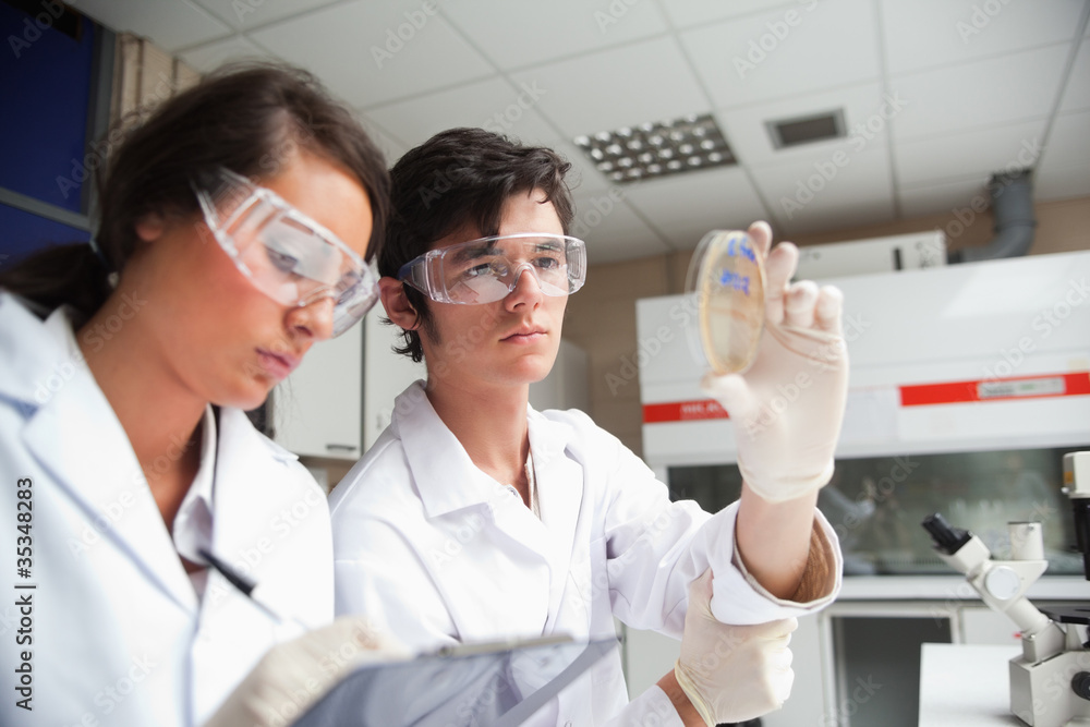 Students in science class looking at a Petri dish Students in science class looking at a Petri dish