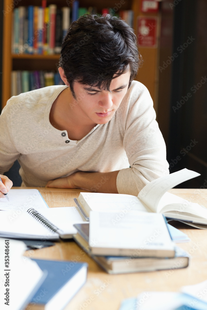 Portrait of a serious student writing an essay Portrait of a serious student writing an essay