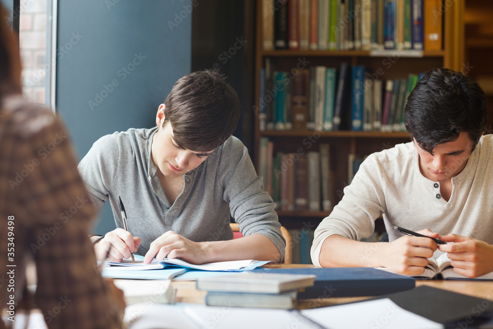 Members of a study group working Members of a study group working
