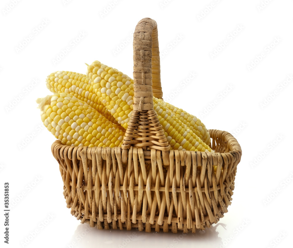 Ears of corn