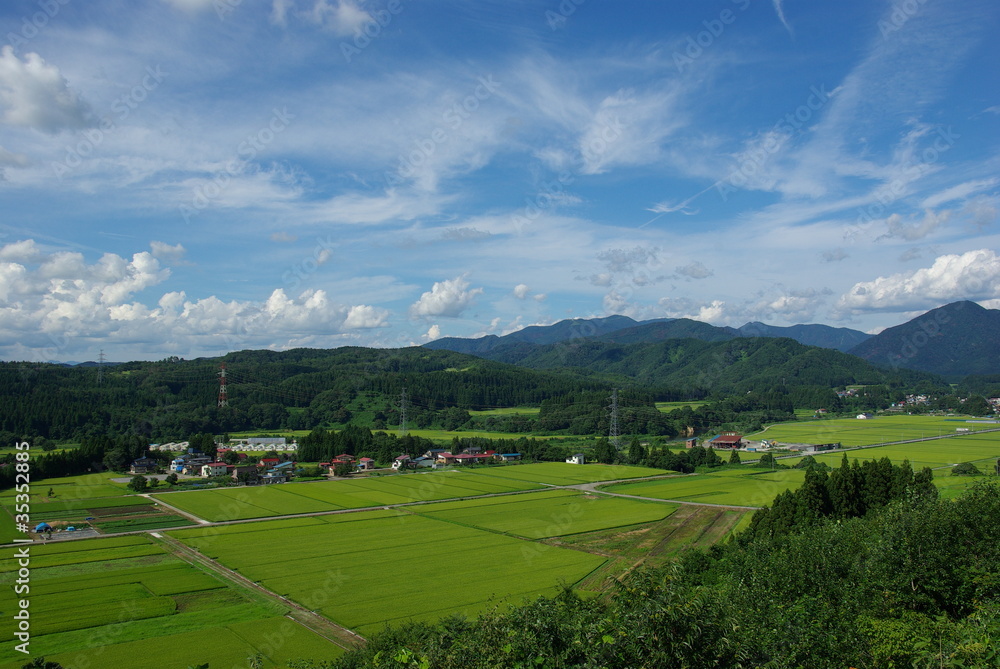 舟形の稲田 舟形の稲田