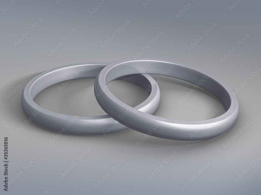 Fototapeta premium Hochzeitsringe (Weißgold)