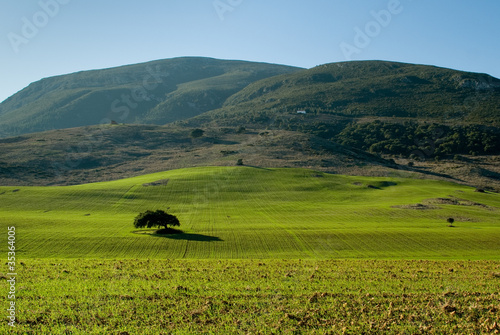 planície na serra